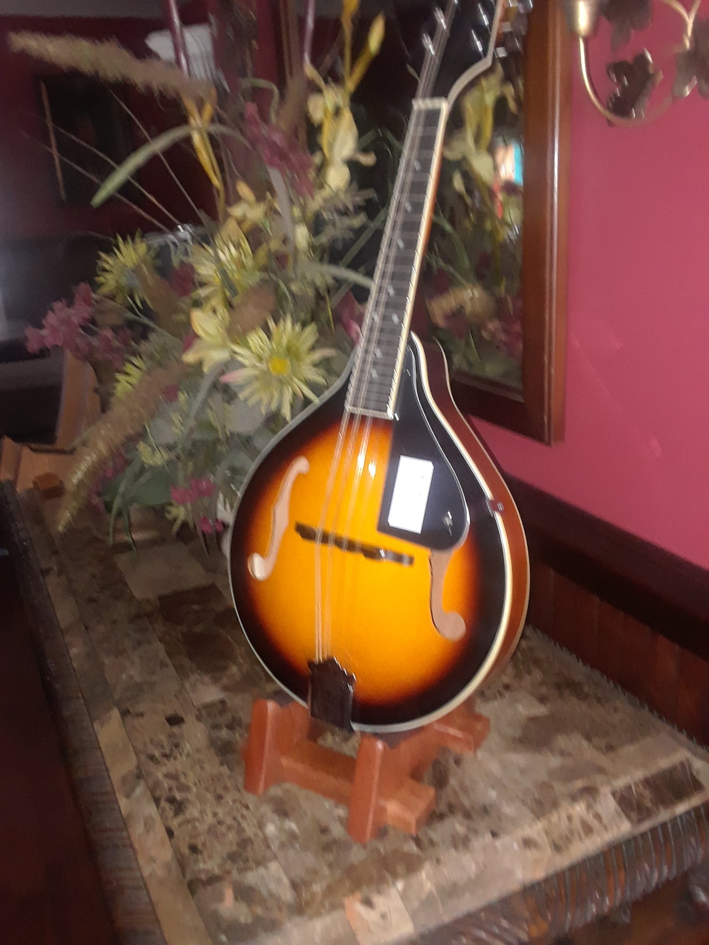 Mandolin Stand. For A and F style Mandolin. Free Shipping in USA. Guitar Stands, Banjo Stands, Ukulele Stands, Bass Stands.